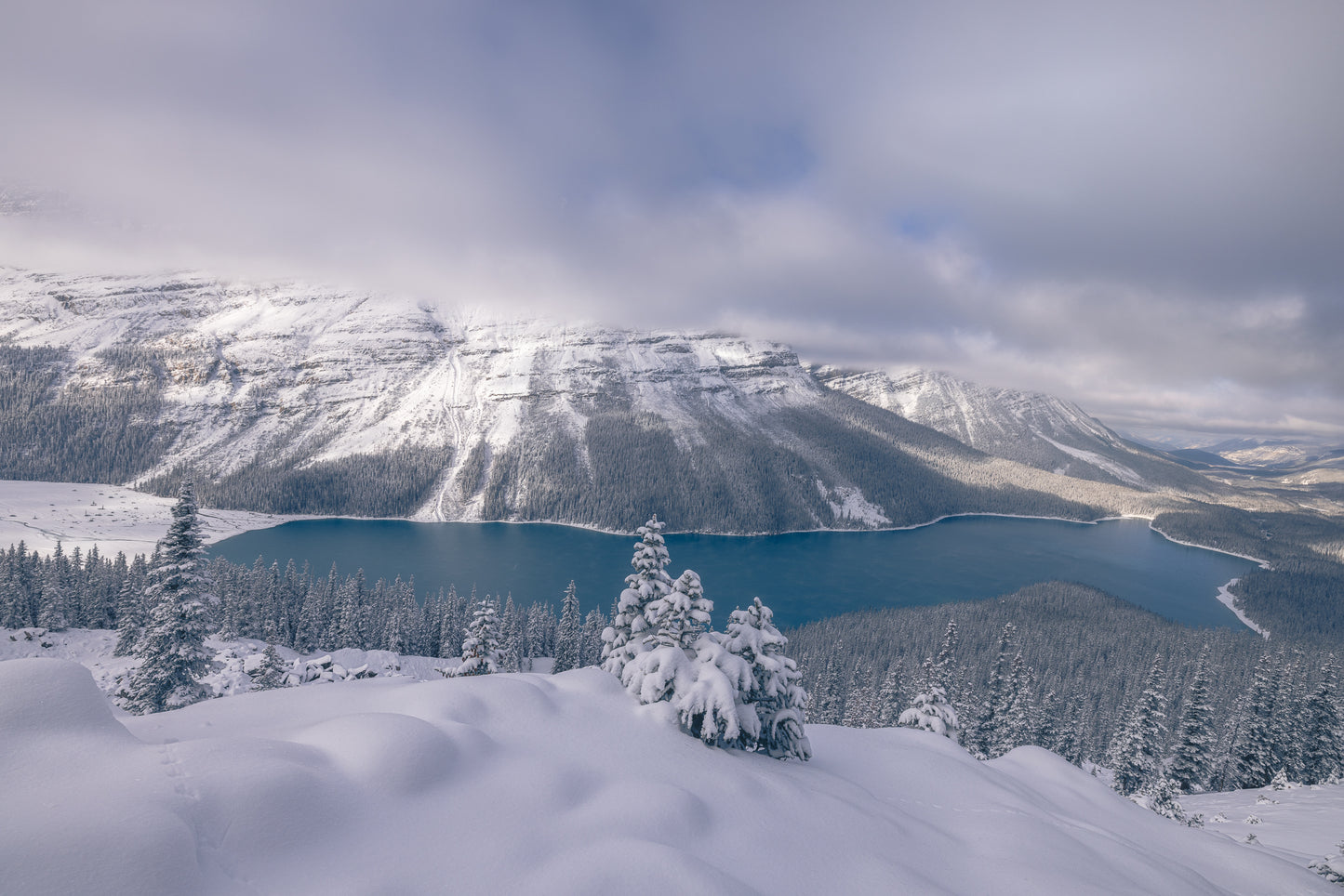 Snow Day at Peyto Lake